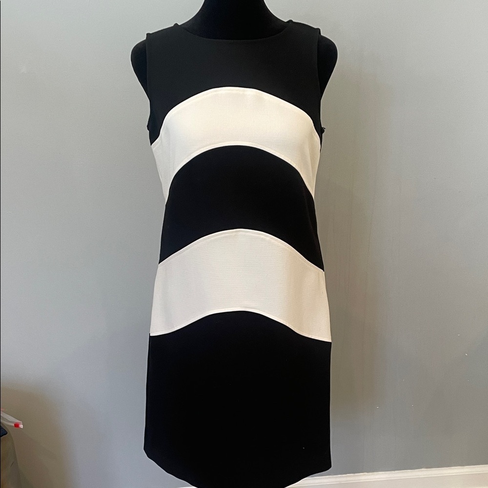 Sleeveless Black & White Colorblock Shift Dress Ann Taylor size 4 like new